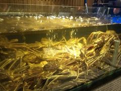 蟹之国-蟹之国·精品蟹料理(极地店)