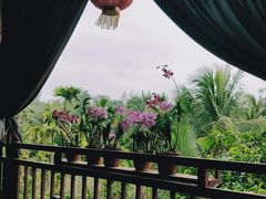 -万兴启丰椰子文化园餐厅