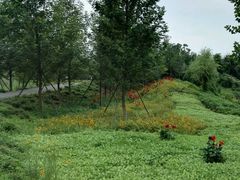 -白鹭湾湿地公园