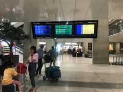 -戴高乐机场火车站