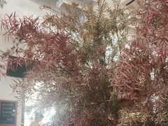 -青咖啡(三坊七巷店)