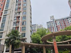 -世纪同乐绿地世纪城二期