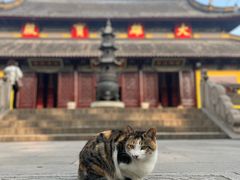 -西园戒幢律寺
