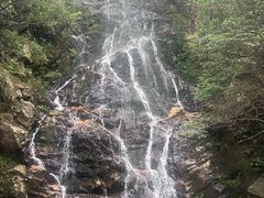 -江西阳明山国家森林公园