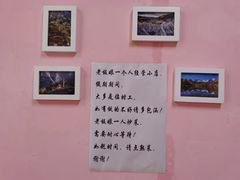 -郑姐私房菜•家常菜