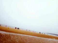 -日照海滨国家森林公园