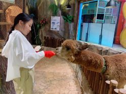 -宝燕乐园(闵行旗舰店)