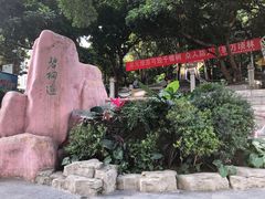 -梧桐山风景名胜区