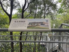 -佛山华盖山公园
