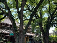 -阿育王寺
