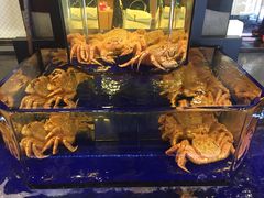 -蟹道乐(道顿堀本店)