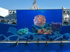 -上海海昌海洋公园