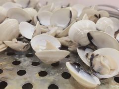 白贝-凯盈阁·顺德私房菜·桑拿鸡