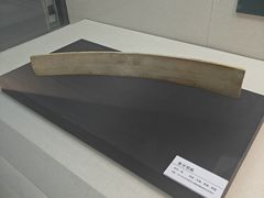 -安阳博物馆
