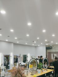-藤野造型