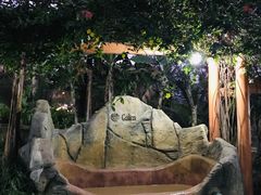 -加林娜泥浴水疗