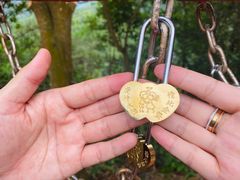 -广州白江湖森林公园