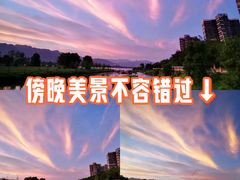 -长洲岛