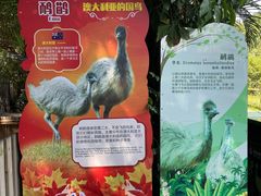 -广州长隆飞鸟乐园