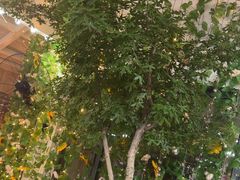 -天隆酒店·本地海鲜鲁菜(烟台大学店)