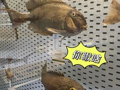 -浙江自然博物院(杭州馆)