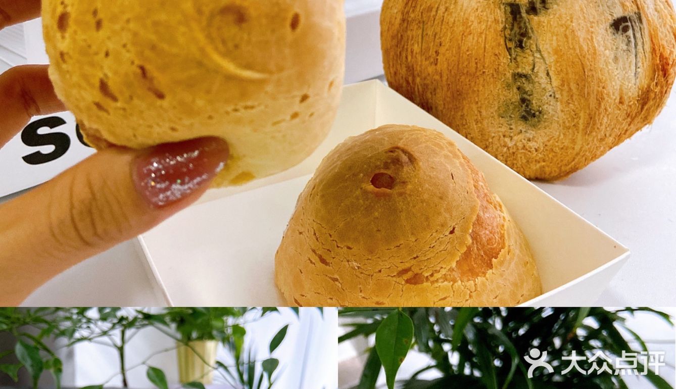 沈阳探店 | 好吃不怕胖0卡糖魔芋椰子河粉🥥