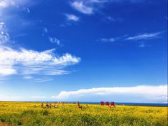 -青海湖国家重点风景名胜区
