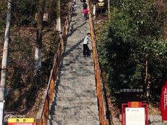 -云碧峰国家森林公园