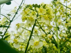 -中国天府农业博览园