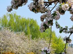 -元大都城垣遗址公园