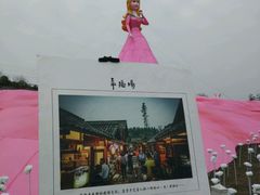 -秀丽东方