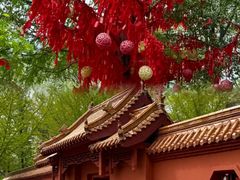 -沂蒙山旅游区云蒙景区(蒙山国家森林公园)