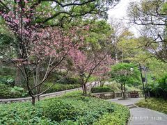 -乌山风景区