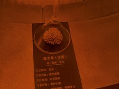 -舒小悦·舒养SPA·古法推拿(光环中心店)
