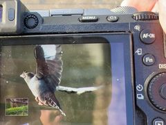 -上海海事大学(临港校区)