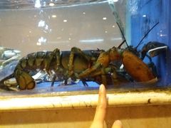 -阿英煲(凉城路店)