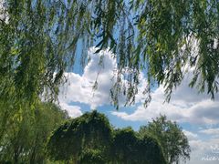 -丁香湖公园