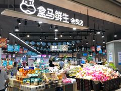 -盒马鲜生(岭南新世界店)