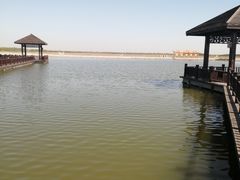 -南大港湿地风景区