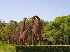 -莲花池公园
