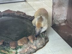 -杭州野生动物世界