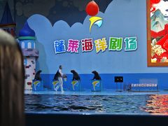 -蓬莱欧乐堡海洋极地世界
