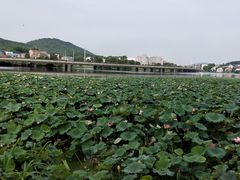 -雅和生态渔庄·宜城锅巴饭(龙灵山公园店)