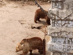 -哈尔滨北方森林动物园