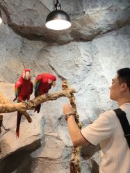 -Zoolung Zoolung动物主题公园(海信广场店)