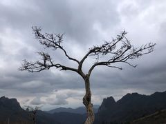 -秦岭风景区