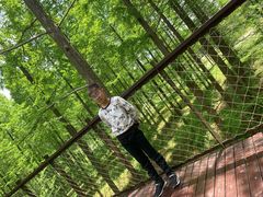 -黄海国家森林公园