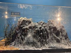 -阳澄湖半岛旅游度假区