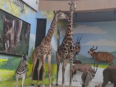 -陕西自然博物馆