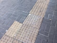 -杨震卤菜旗舰店